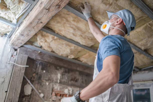 Best Insulation Installation Services in Morton, MS